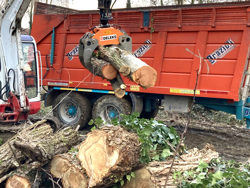 holzzange holzgreifer für kräne und mini bagger 4 0 bis 8 0t mod dk 16