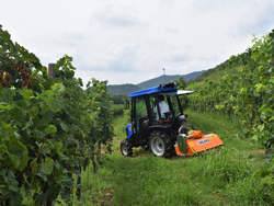 schlegelmulcher 100 cm mit seitenverstellung für leichte ausführung mod lince sp100