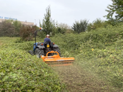 schlegelmäher hyadraulisch seitenverstellbar für mittelschwere traktoren leopard 180 sph
