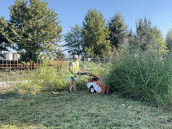 schlegelmulcher smart 800