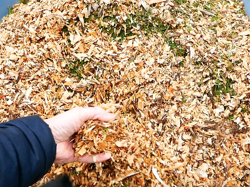 benzin häcksler schredder mit motor mod dk 800 briggs and stratton