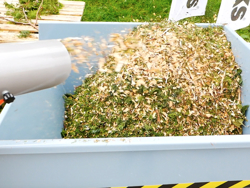 benzin häcksler schredder mit lifan motor mod dk 800 lf