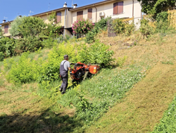 umkehrbarer einachsschlepper kama motor zeus ltr