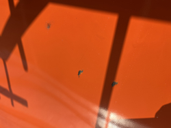 heckcontainer für traktoren mod t 1800 h generaluberholt 111