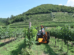 tractor mounted hedge cutter airone 60