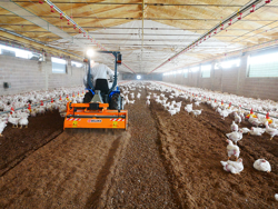 shatter milling machine mixture facing bedding for poultry farms pavo 120