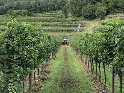 mulcher for compact tractors flail mower 165cm shredder with hammers lince 165