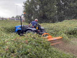 flail mower 185cm mulcher shredder with hammers leopard 180