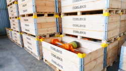 offset verge flail mower for tractors volpe 165