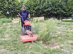 reversible two wheel tractor with tiller kama