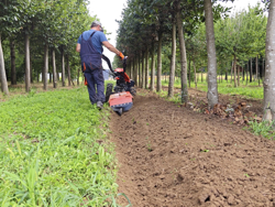 reversible two wheel tractor with tiller kama